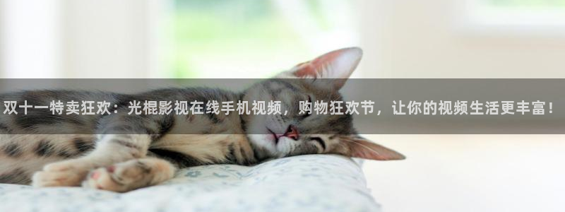 6080新视觉影院电视剧大全