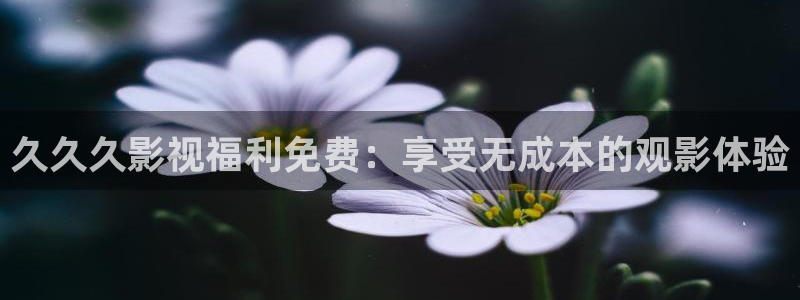 yy6080影视网