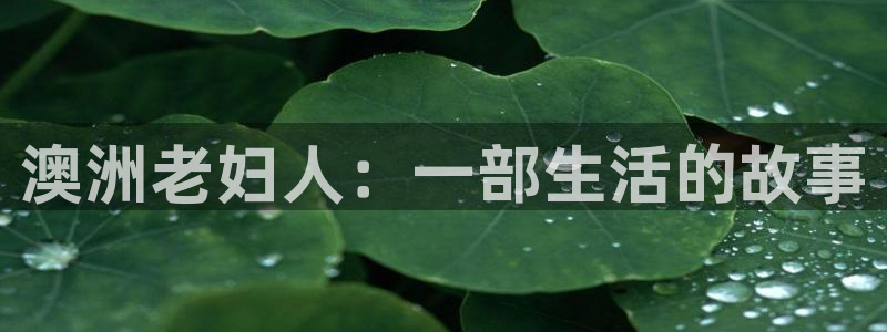 6080新视觉理论